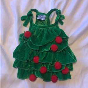 Cat or Dog Christmas outfit